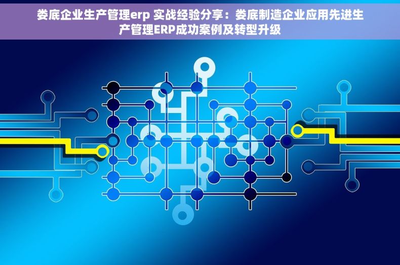 娄底企业生产管理erp 实战经验分享：娄底制造企业应用先进生产管理ERP成功案例及转型升级
