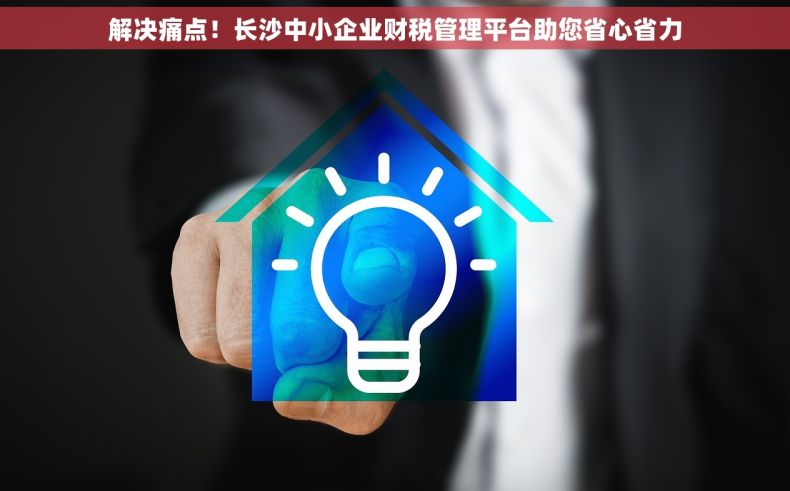 解决痛点！长沙中小企业财税管理平台助您省心省力