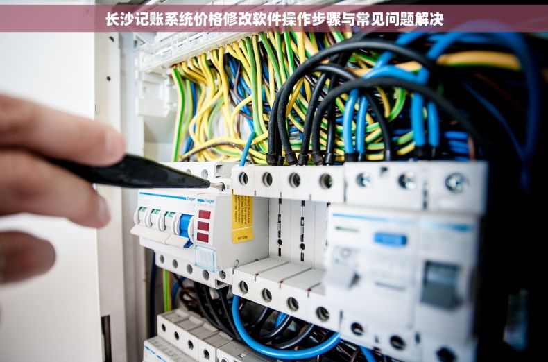 长沙记账系统价格修改软件操作步骤与常见问题解决