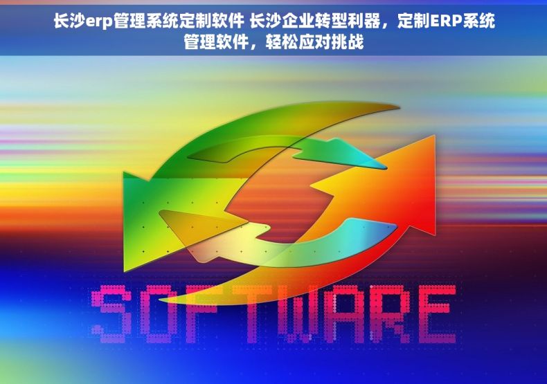 长沙erp管理系统定制软件 长沙企业转型利器，定制ERP系统管理软件，轻松应对挑战