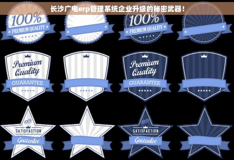 长沙广电erp管理系统企业升级的秘密武器！