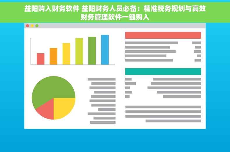 益阳购入财务软件 益阳财务人员必备：精准税务规划与高效财务管理软件一键购入