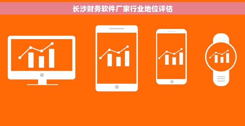 长沙财务软件厂家行业地位评估