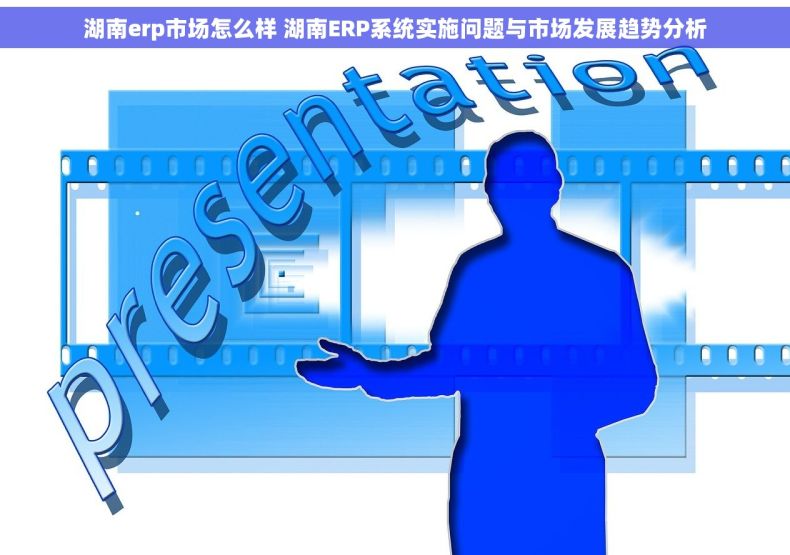 湖南erp市场怎么样 湖南ERP系统实施问题与市场发展趋势分析
