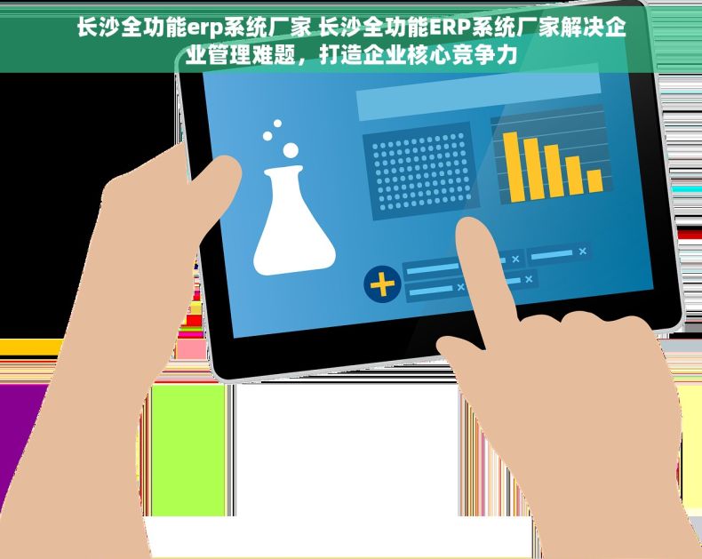 长沙全功能erp系统厂家 长沙全功能ERP系统厂家解决企业管理难题，打造企业核心竞争力