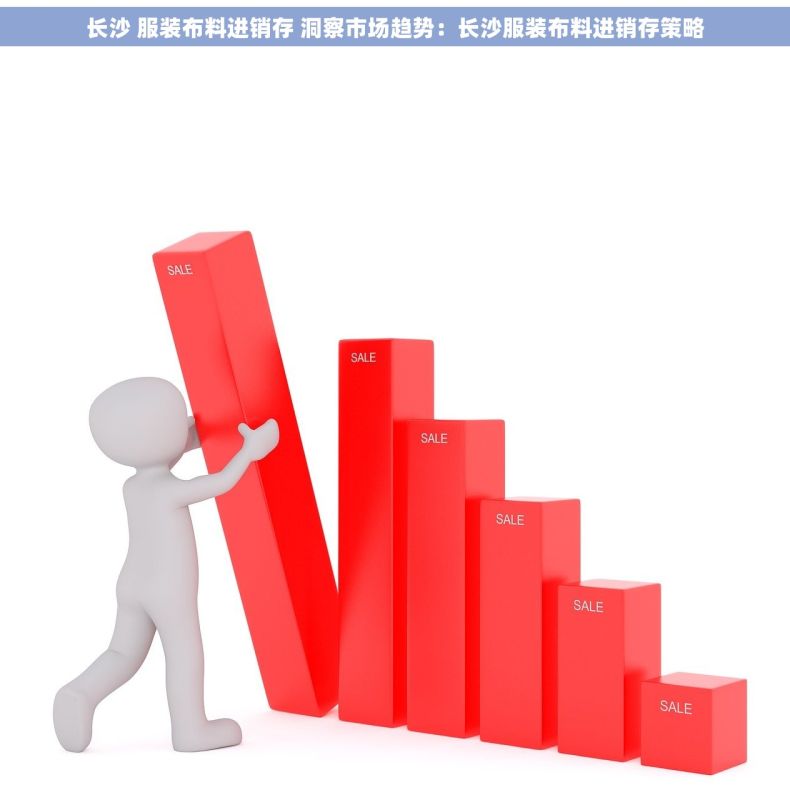 长沙 服装布料进销存 洞察市场趋势：长沙服装布料进销存策略