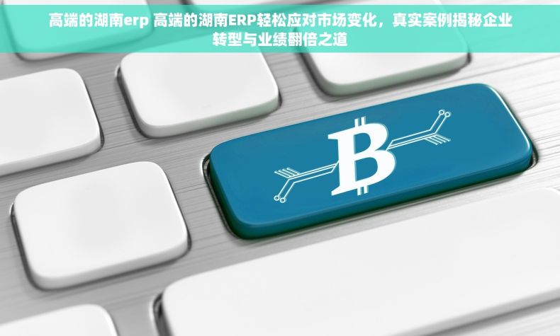 高端的湖南erp 高端的湖南ERP轻松应对市场变化，真实案例揭秘企业转型与业绩翻倍之道