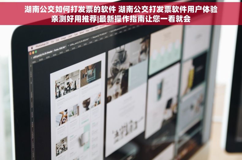湖南公交如何打发票的软件 湖南公交打发票软件用户体验亲测好用推荐|最新操作指南让您一看就会