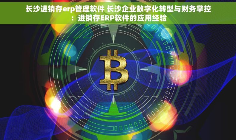 长沙进销存erp管理软件 长沙企业数字化转型与财务掌控：进销存ERP软件的应用经验