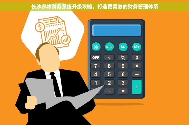 长沙农牧财务系统升级攻略，打造更高效的财务管理体系