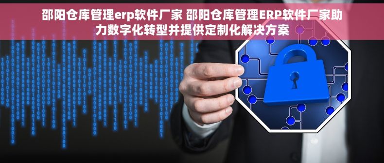 邵阳仓库管理erp软件厂家 邵阳仓库管理ERP软件厂家助力数字化转型并提供定制化解决方案