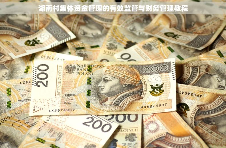 湖南村集体资金管理的有效监管与财务管理教程