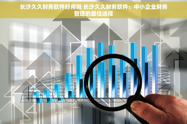 长沙久久财务软件好用吗 长沙久久财务软件：中小企业财务管理的最佳选择