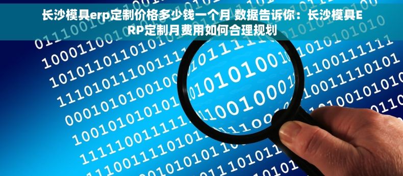 长沙模具erp定制价格多少钱一个月 数据告诉你：长沙模具ERP定制月费用如何合理规划