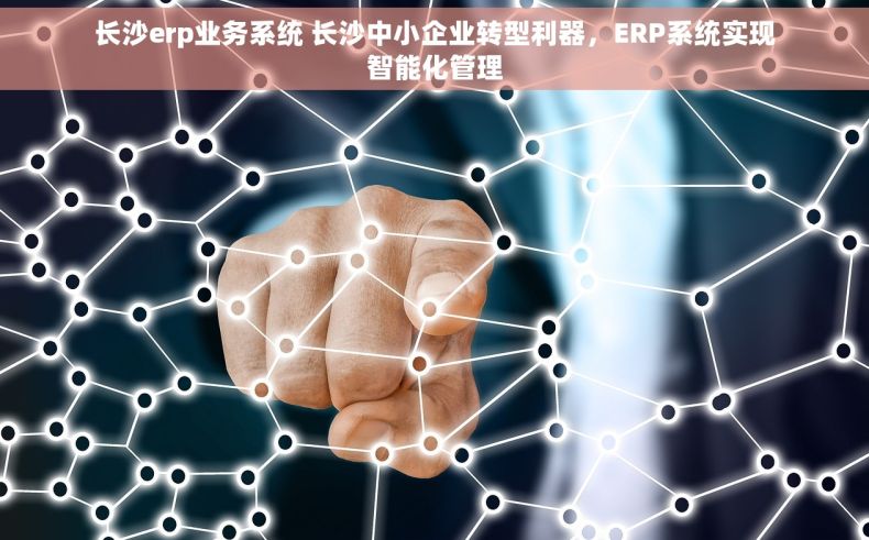 长沙erp业务系统 长沙中小企业转型利器，ERP系统实现智能化管理