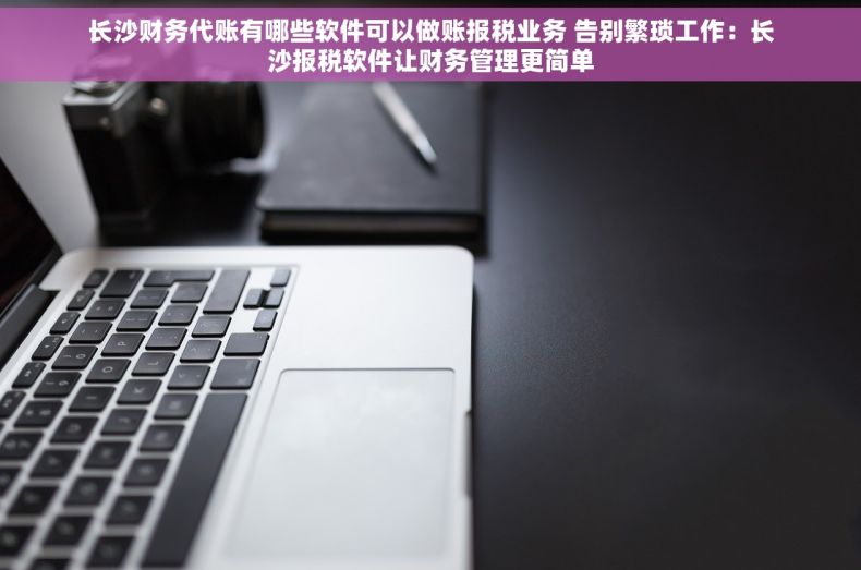 长沙财务代账有哪些软件可以做账报税业务 告别繁琐工作：长沙报税软件让财务管理更简单