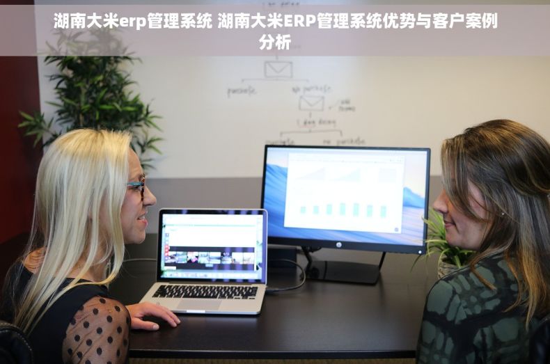 湖南大米erp管理系统 湖南大米ERP管理系统优势与客户案例分析