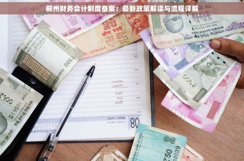 郴州财务会计制度备案：最新政策解读与流程详解