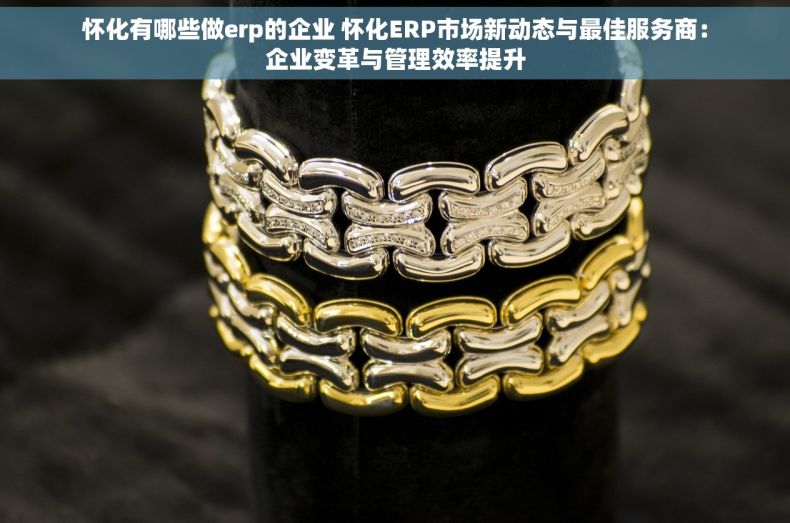 怀化有哪些做erp的企业 怀化ERP市场新动态与最佳服务商：企业变革与管理效率提升