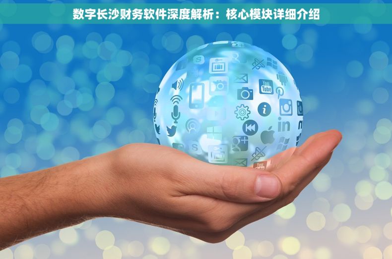 数字长沙财务软件深度解析：核心模块详细介绍