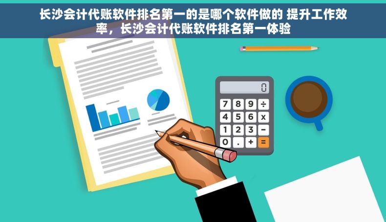 长沙会计代账软件排名第一的是哪个软件做的 提升工作效率，长沙会计代账软件排名第一体验