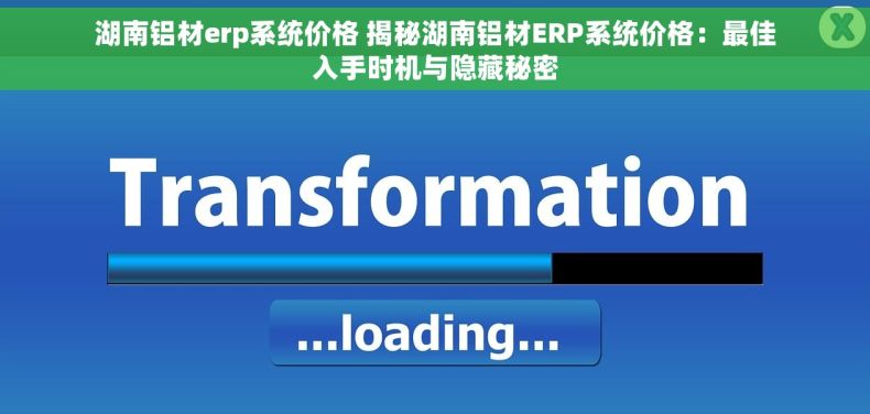 湖南铝材erp系统价格 揭秘湖南铝材ERP系统价格：最佳入手时机与隐藏秘密