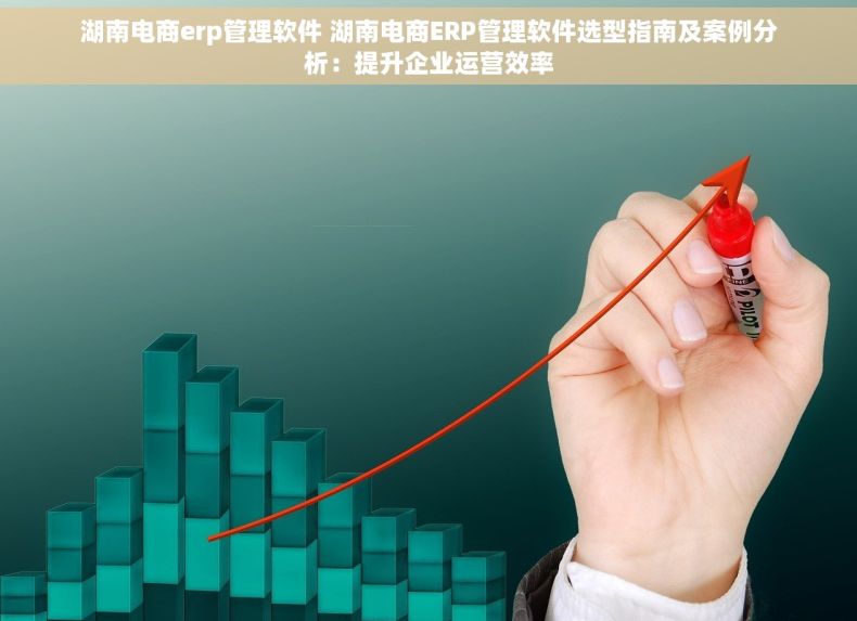 湖南电商erp管理软件 湖南电商ERP管理软件选型指南及案例分析：提升企业运营效率