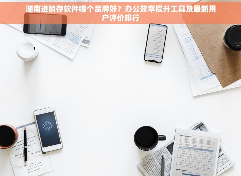 湖南进销存软件哪个品牌好？办公效率提升工具及最新用户评价排行