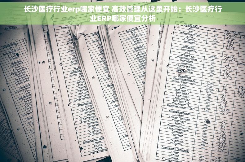 长沙医疗行业erp哪家便宜 高效管理从这里开始：长沙医疗行业ERP哪家便宜分析