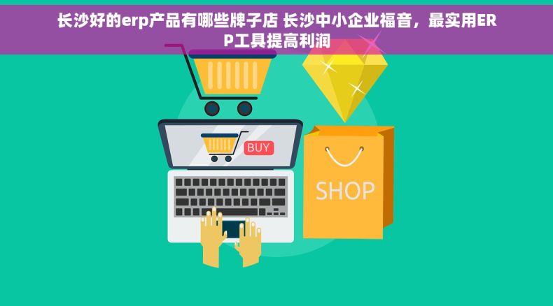 长沙好的erp产品有哪些牌子店 长沙中小企业福音，最实用ERP工具提高利润