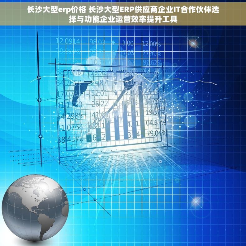 长沙大型erp价格 长沙大型ERP供应商企业IT合作伙伴选择与功能企业运营效率提升工具