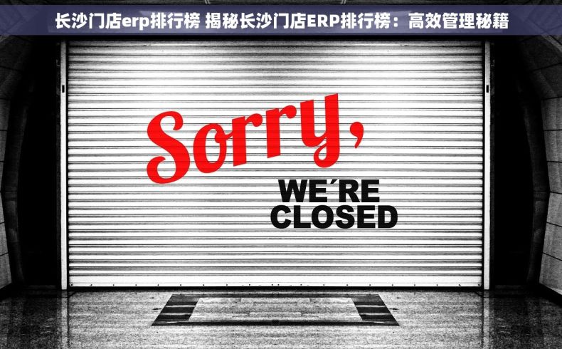 长沙门店erp排行榜 揭秘长沙门店ERP排行榜：高效管理秘籍