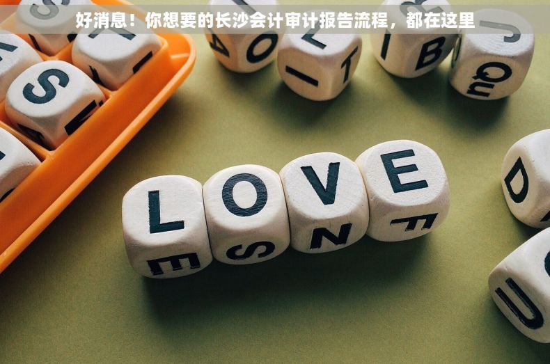 好消息！你想要的长沙会计审计报告流程，都在这里