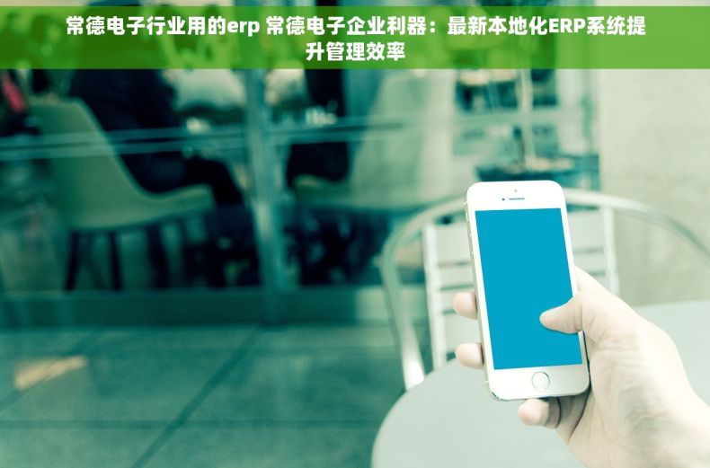 常德电子行业用的erp 常德电子企业利器：最新本地化ERP系统提升管理效率