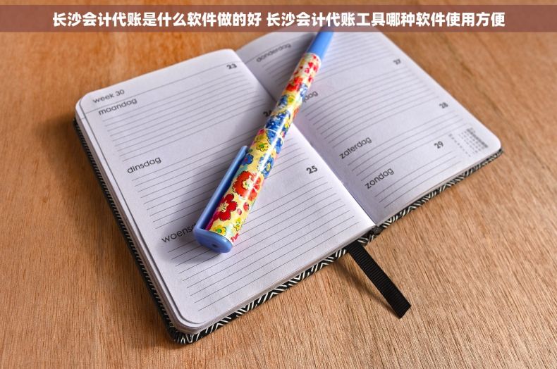 长沙会计代账是什么软件做的好 长沙会计代账工具哪种软件使用方便