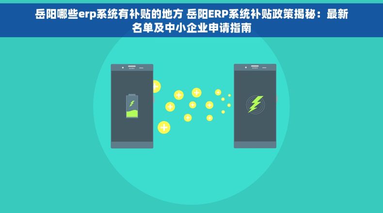 岳阳哪些erp系统有补贴的地方 岳阳ERP系统补贴政策揭秘：最新名单及中小企业申请指南