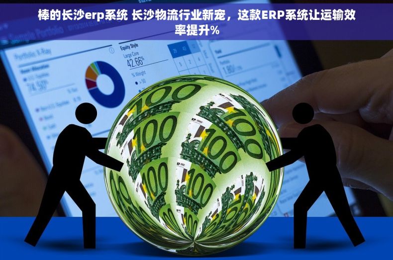 棒的长沙erp系统 长沙物流行业新宠，这款ERP系统让运输效率提升%