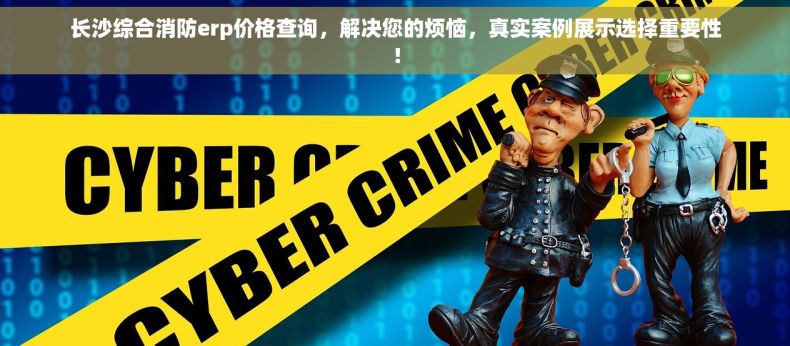 长沙综合消防erp价格查询，解决您的烦恼，真实案例展示选择重要性！
