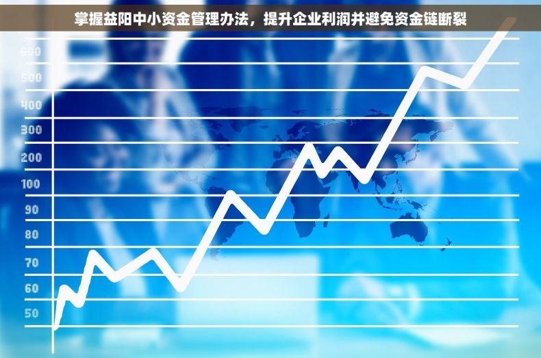 掌握益阳中小资金管理办法，提升企业利润并避免资金链断裂
