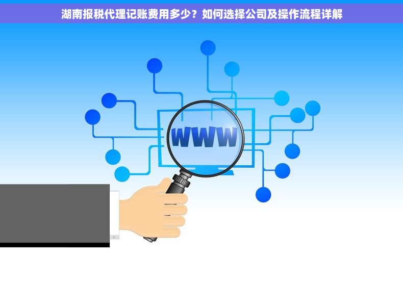 湖南报税代理记账费用多少？如何选择公司及操作流程详解