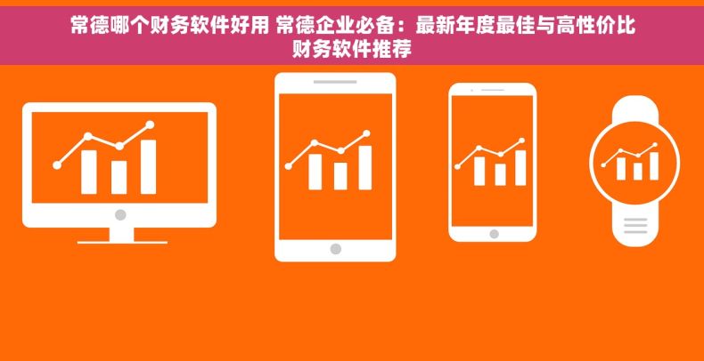 常德哪个财务软件好用 常德企业必备：最新年度最佳与高性价比财务软件推荐