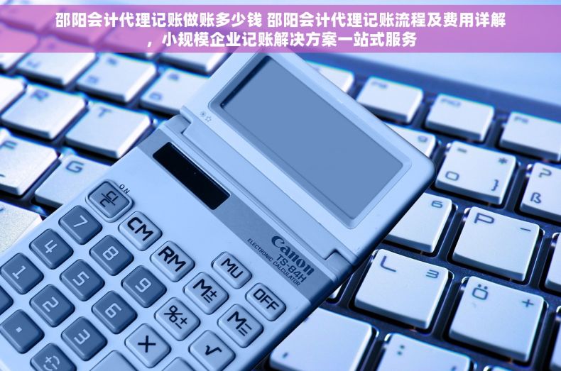 邵阳会计代理记账做账多少钱 邵阳会计代理记账流程及费用详解，小规模企业记账解决方案一站式服务