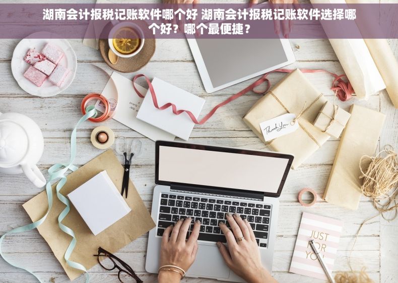 湖南会计报税记账软件哪个好 湖南会计报税记账软件选择哪个好？哪个最便捷？
