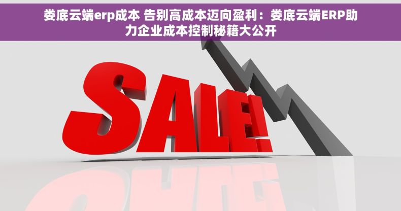 娄底云端erp成本 告别高成本迈向盈利：娄底云端ERP助力企业成本控制秘籍大公开