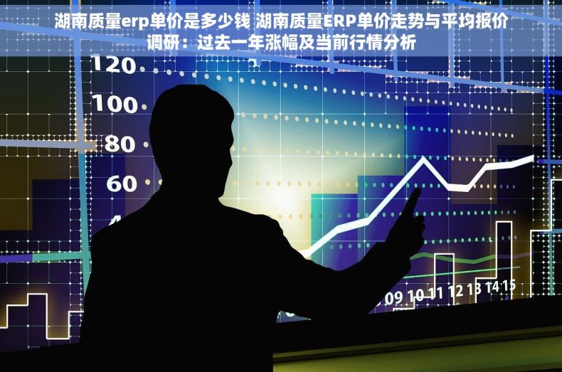 湖南质量erp单价是多少钱 湖南质量ERP单价走势与平均报价调研：过去一年涨幅及当前行情分析