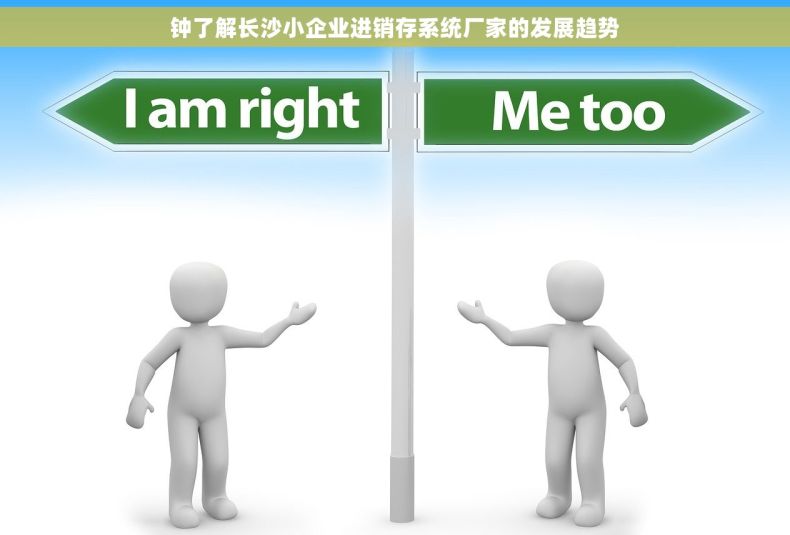 钟了解长沙小企业进销存系统厂家的发展趋势