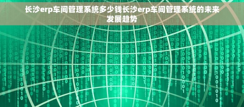 长沙erp车间管理系统多少钱长沙erp车间管理系统的未来发展趋势