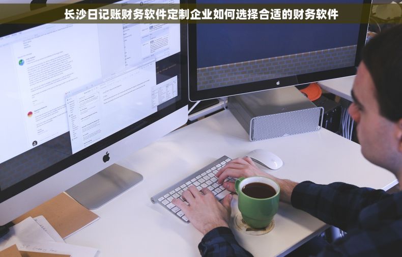 长沙日记账财务软件定制企业如何选择合适的财务软件