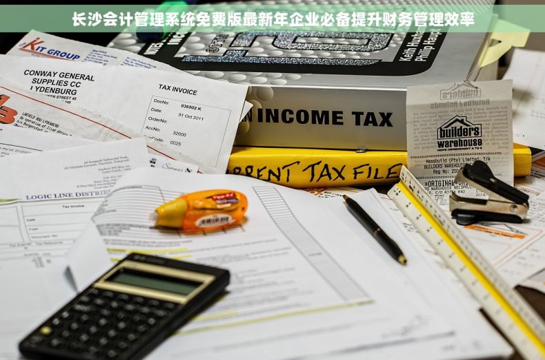 长沙会计管理系统免费版最新年企业必备提升财务管理效率