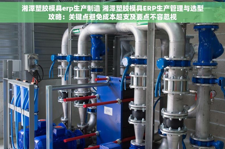 湘潭塑胶模具erp生产制造 湘潭塑胶模具ERP生产管理与选型攻略：关键点避免成本超支及要点不容忽视